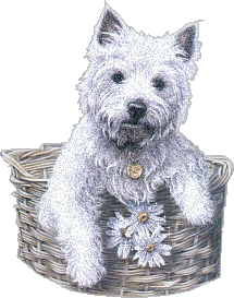 scottie dog icon